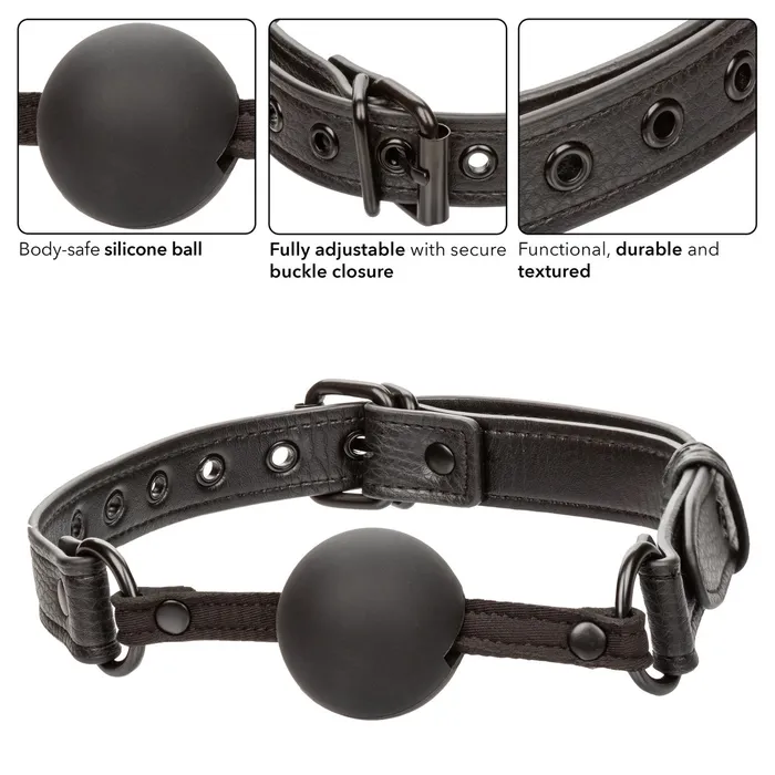 Male Sex Toys Calexotics Nocturnal Collection Ball Gag