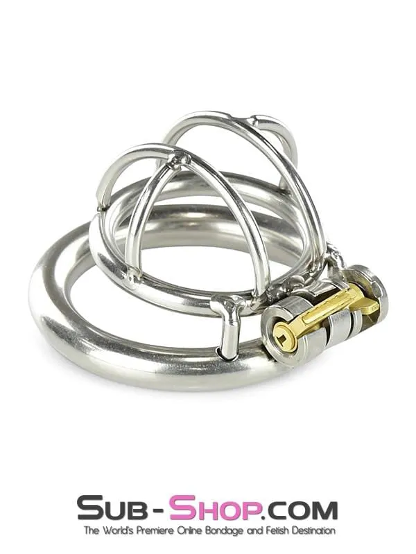 Raysent Male Sex Toys 0963RS Tiny Tool High Security Steel Locking Male Bondage Chastity Device